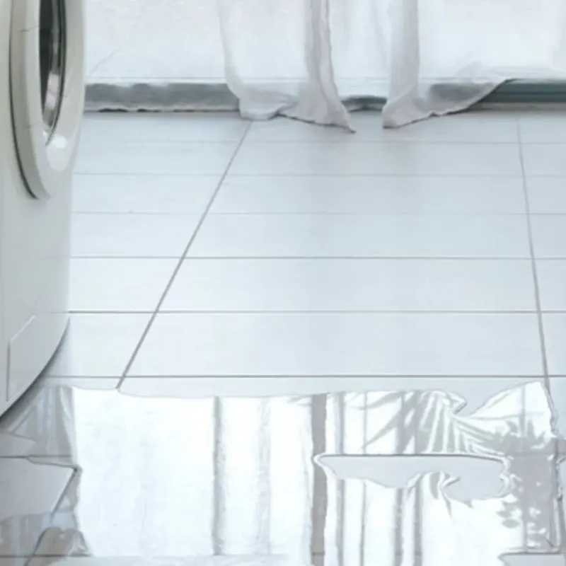 Appliance Leak Cleanup in Spangler, PA
