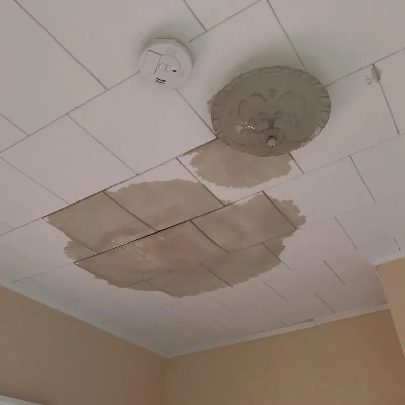 Ceiling Water Damage Repair in Spangler, PA