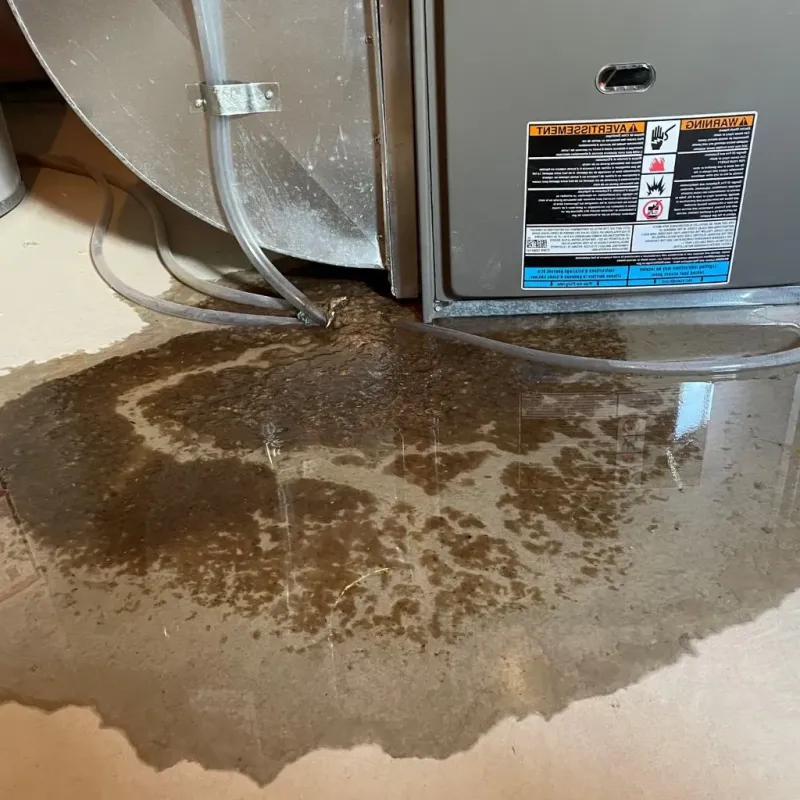 Pipe Burst and Leak Restoration in Spangler, PA