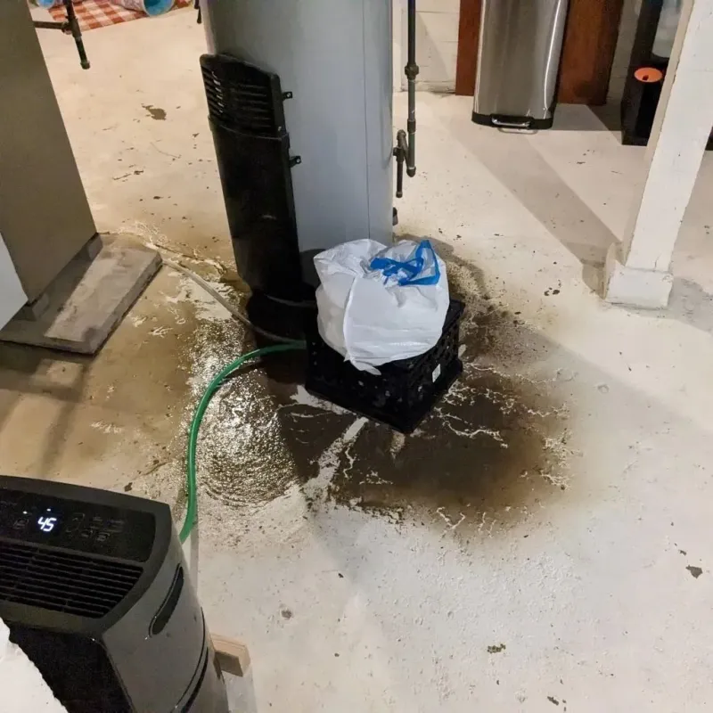 Sewage Backup Cleanup Service in Spangler, PA